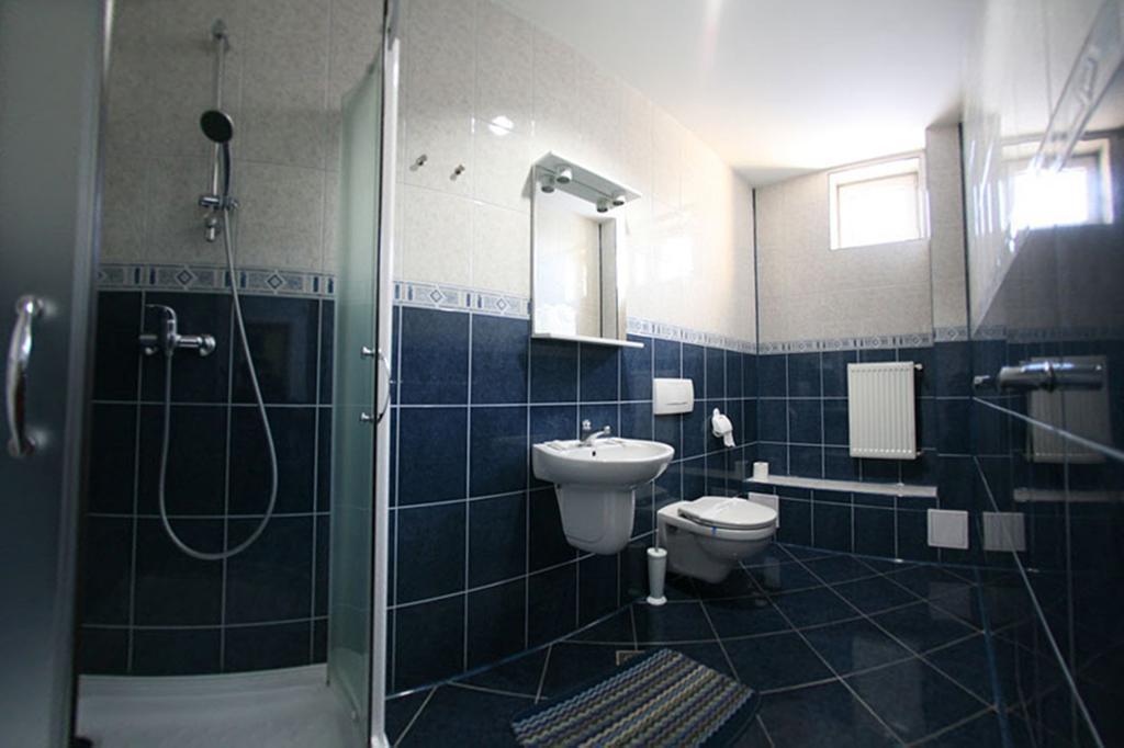 Pensiunea Soferul Norocos Bacau Room photo