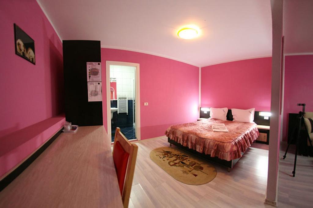Pensiunea Soferul Norocos Bacau Room photo