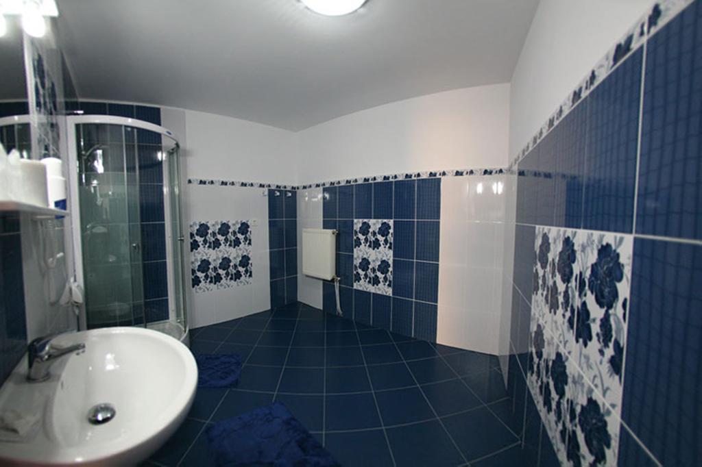 Pensiunea Soferul Norocos Bacau Room photo