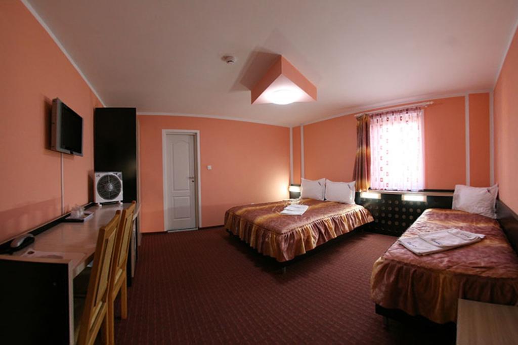 Pensiunea Soferul Norocos Bacau Room photo